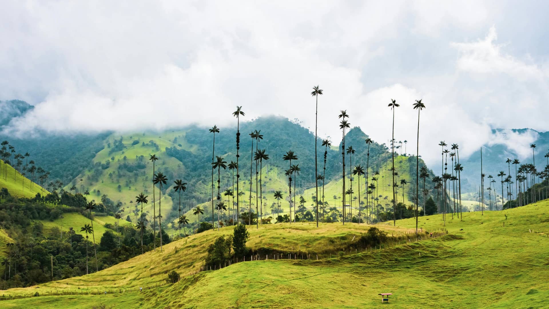 The beauty and nature of Colombia