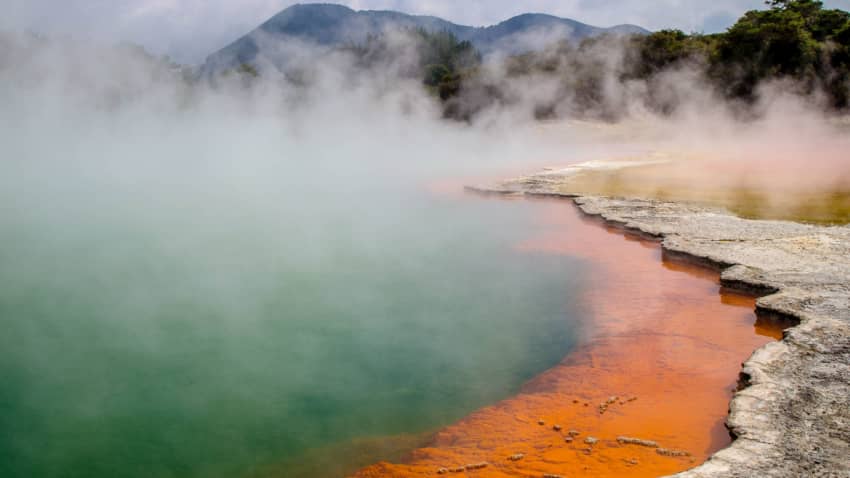 Shocking nature of New Zealand